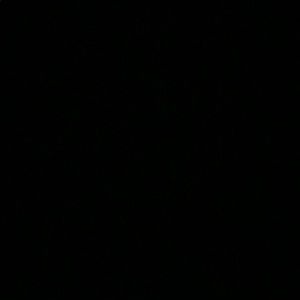 Meet your Posher, Rose